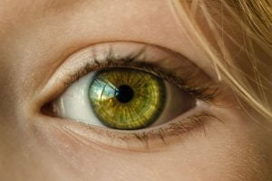 Pahami Sistem Visual yang Berperan Penting dalam Penglihatan